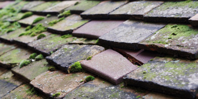 Maryland roof repair costs
